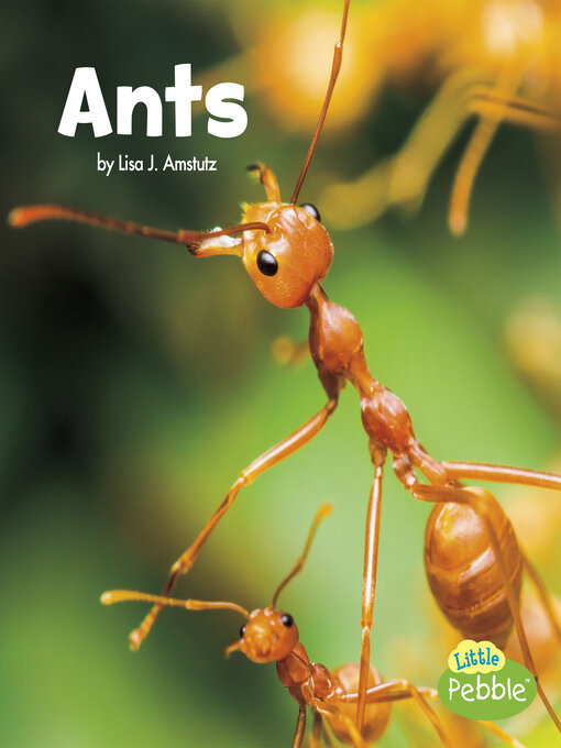 Title details for Ants by Lisa J. Amstutz - Available